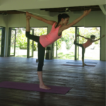 Vinyasa Yoga (Morning)